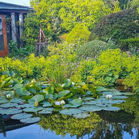 住宿加早餐酒店 Kilmokea Coach House 4*