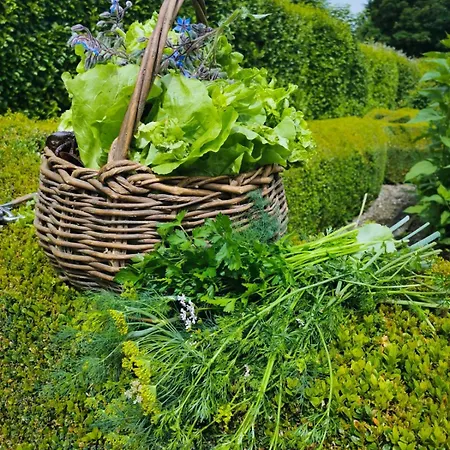 Kilmokea Coach House Nocleg ze śniadaniem 4*