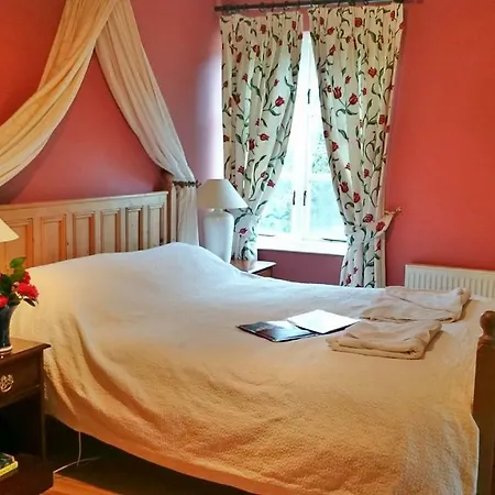 Kilmokea Coach House 新罗斯