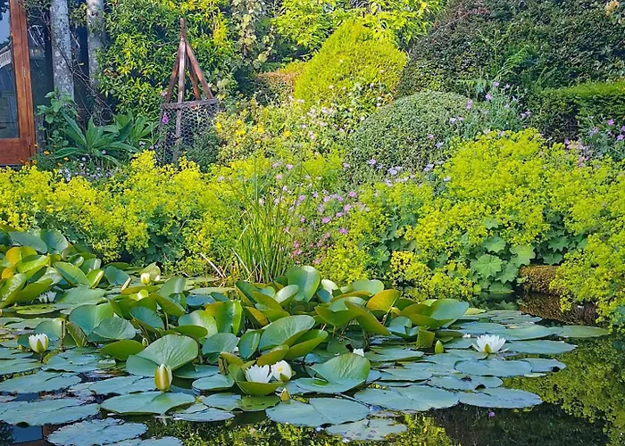 Bed & Breakfast Kilmokea Coach House 4*